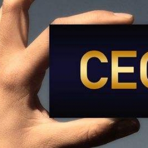 CEO在数字化转型中的行动指南