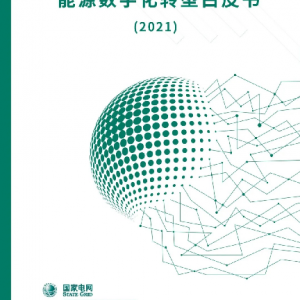 能源数字化转型白皮书（2021）