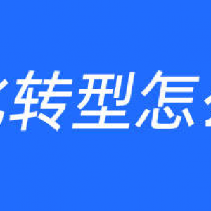 数字化转型怎么理解