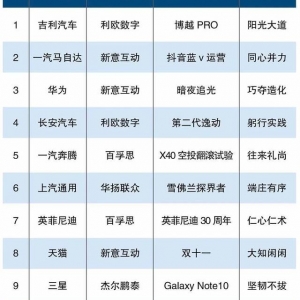 2019数字营销十大案例