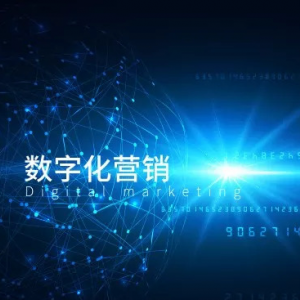 数字营销，营销成功的动力之源