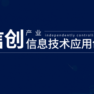 2021中国信创500强